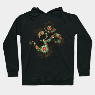 Symbol of Om with Turquoise Hoodie